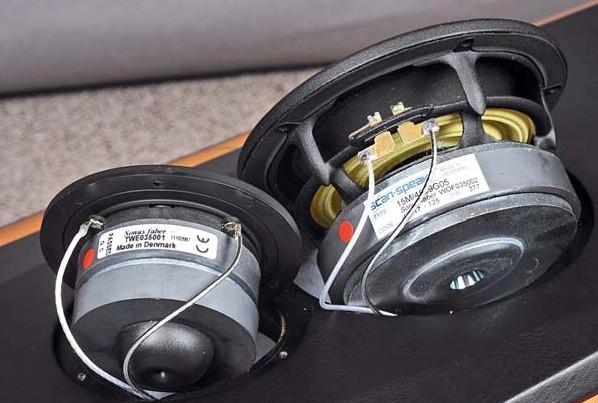Sonus Faber Elipsa Auditor ldsouns_ru (5)