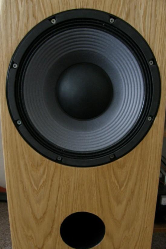 polS-004  (10)