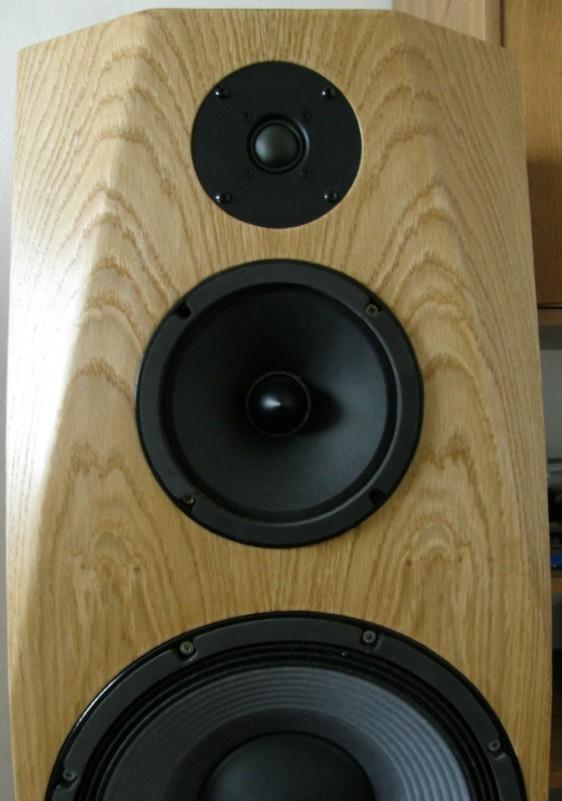 polS-004  (9)