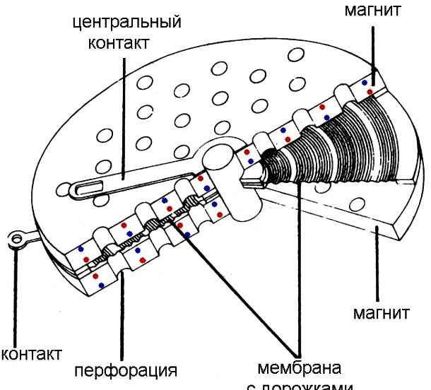 ортодинам наушники  (7)