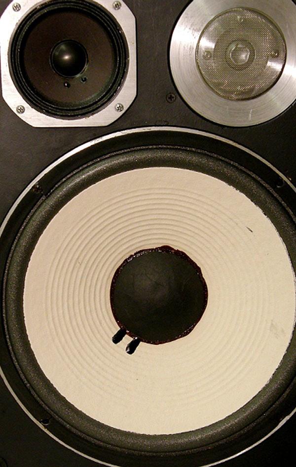 jbl_4411  (6)