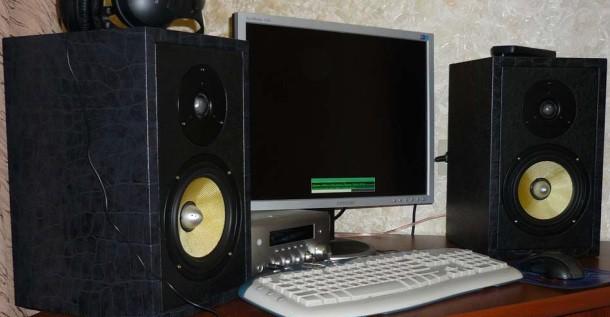2-х полосная АС на ALPHARD DW65K2 и TW401SX. «Китайский Hi-Fi»