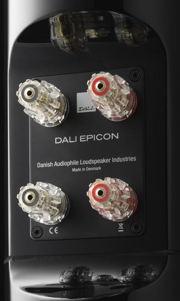 Dali EPICON 8  (7)