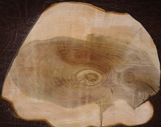 wood_001  (10)