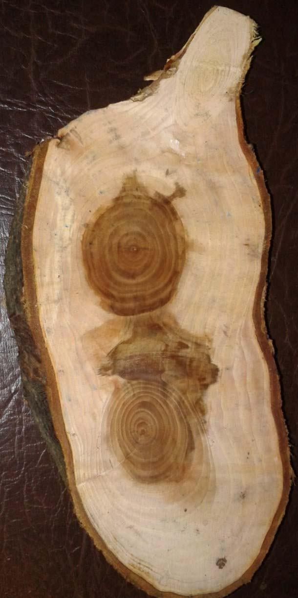 wood_001  (12)
