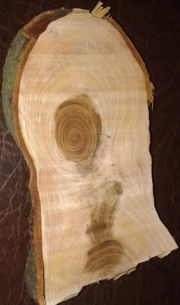 wood_001  (13)