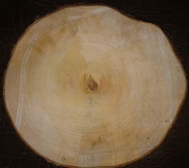 wood_001  (14)