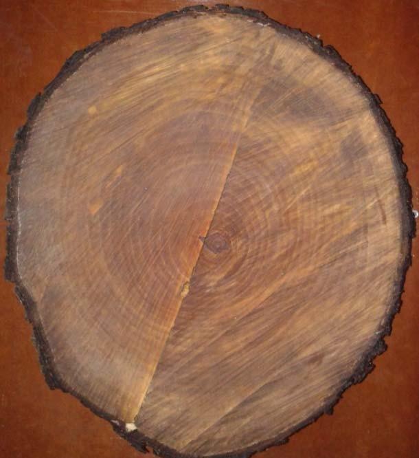 wood_001  (3)