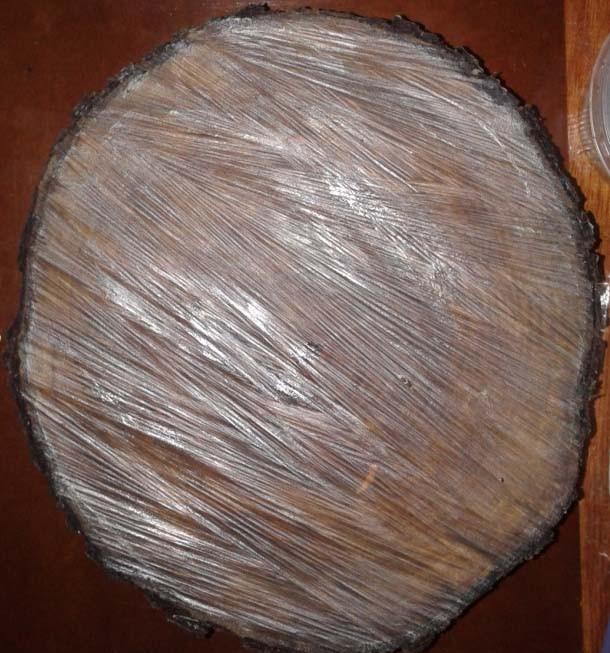wood_001  (9)