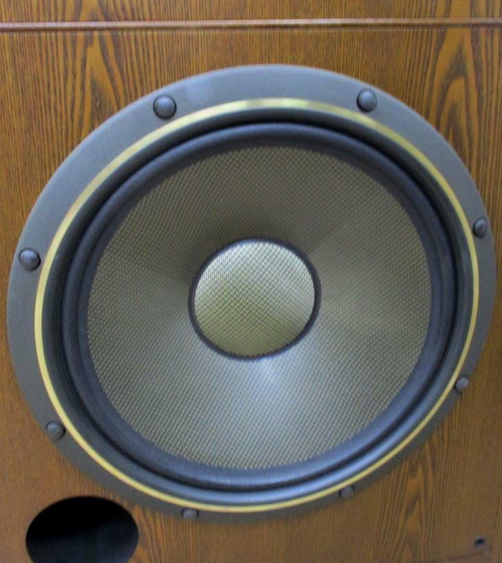 Diatone DS-V9000