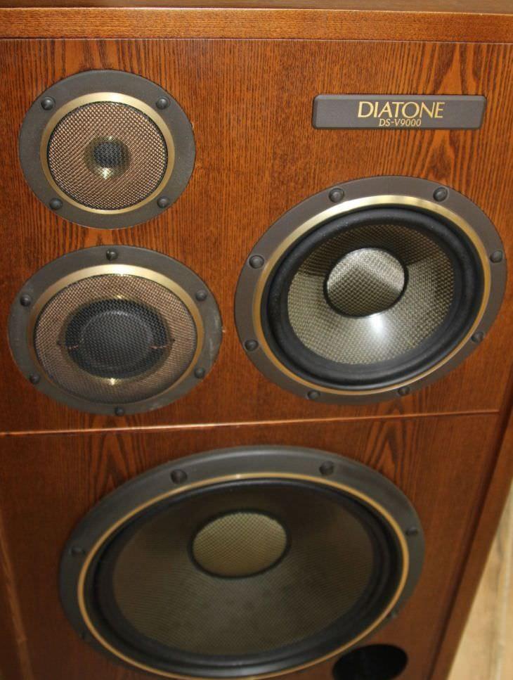 Diatone DS-V9000
