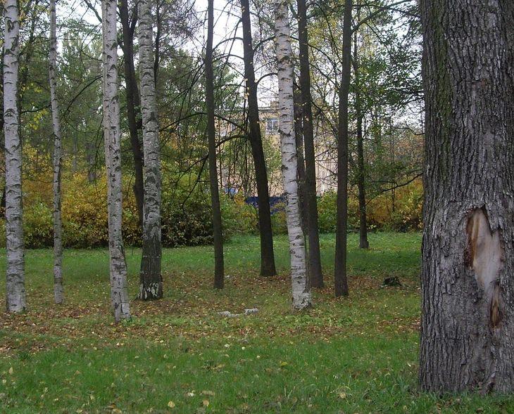 ВНИИРПА им. А.С. Попова