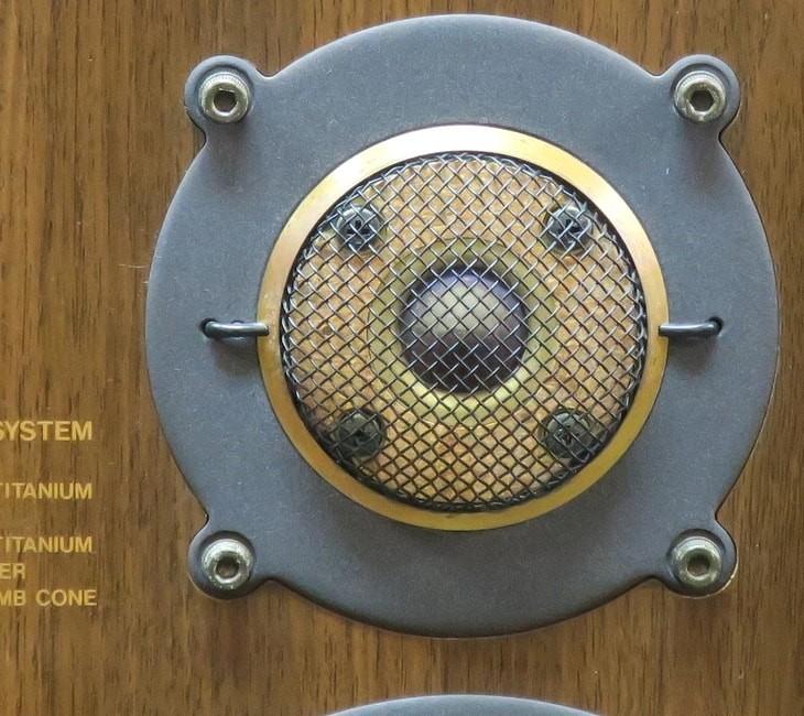 Diatone DS-1000