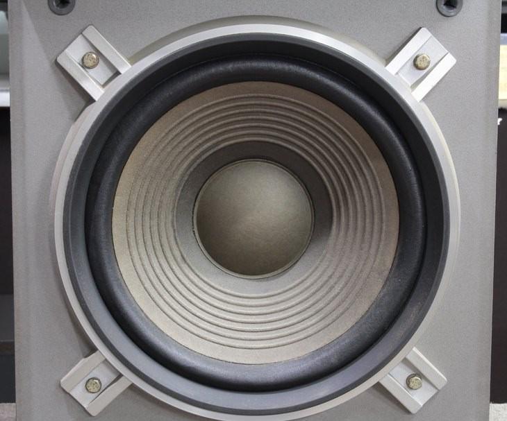 Diatone F1