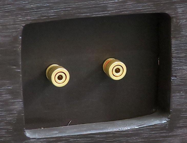 Diatone 2S-305