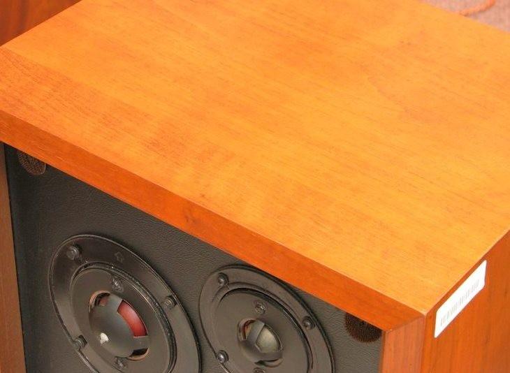 Diatone DS-301