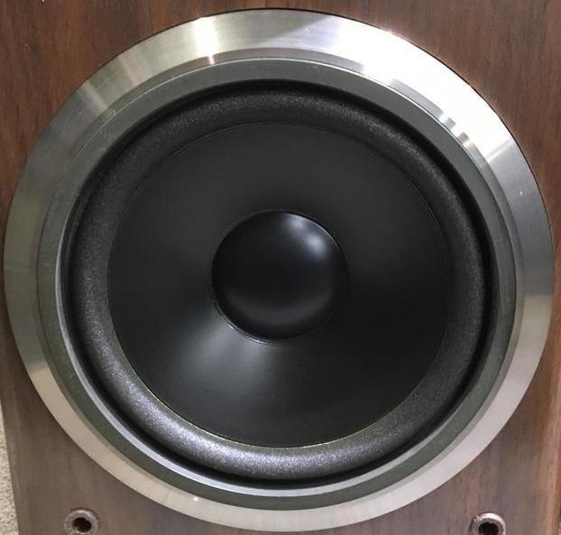 PIONEER S-101 custom