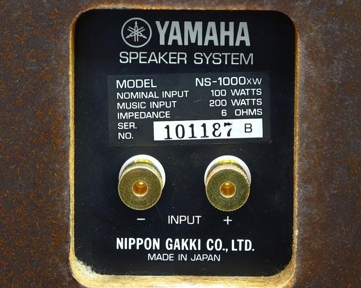 Yamaha NS-100wx