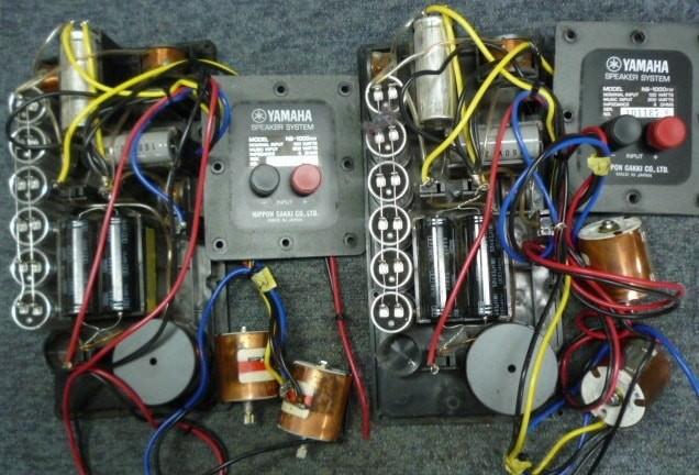 Yamaha NS-100wx