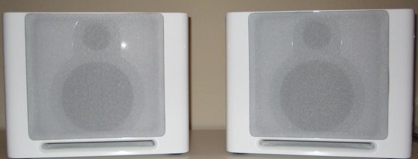 GURU Q10