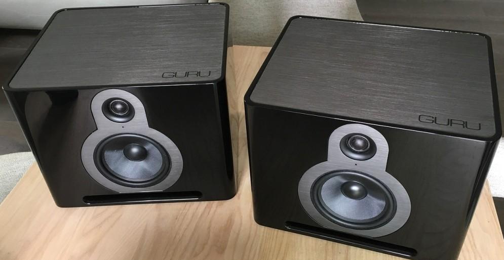 GURU Q10