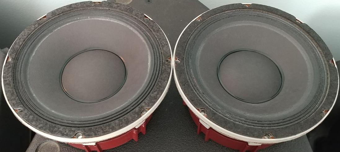 EV DL10X