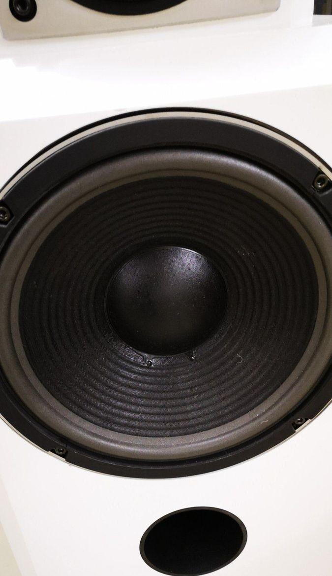 ACR CL 300
