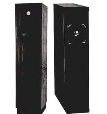 Новые разработки электроакустической аппаратуры (1995)