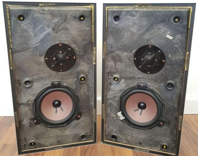 Bang & Olufsen Beovox P 30