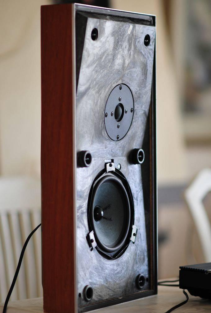Bang & Olufsen Beovox P 30