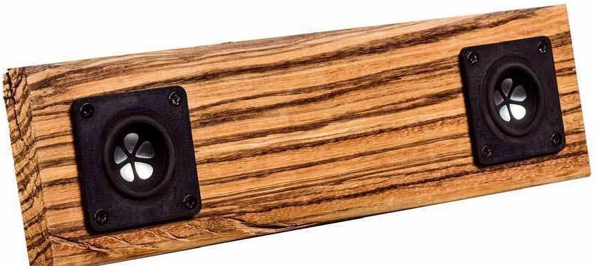 Портативная колонка Tang Band T1-1828SD 2.1: конструкция, обзор | AudioBerry