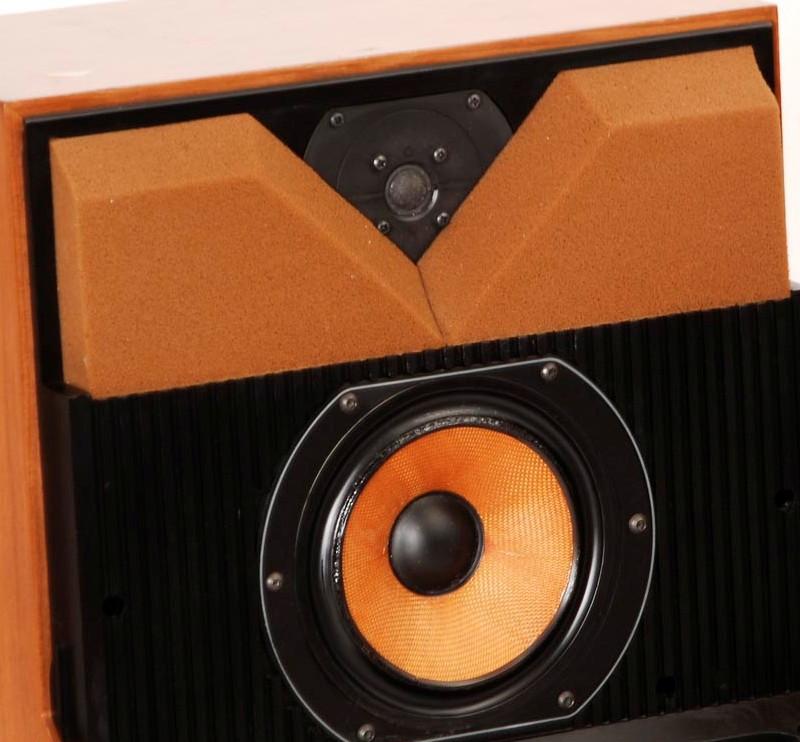 Bowers & Wilkins DM6