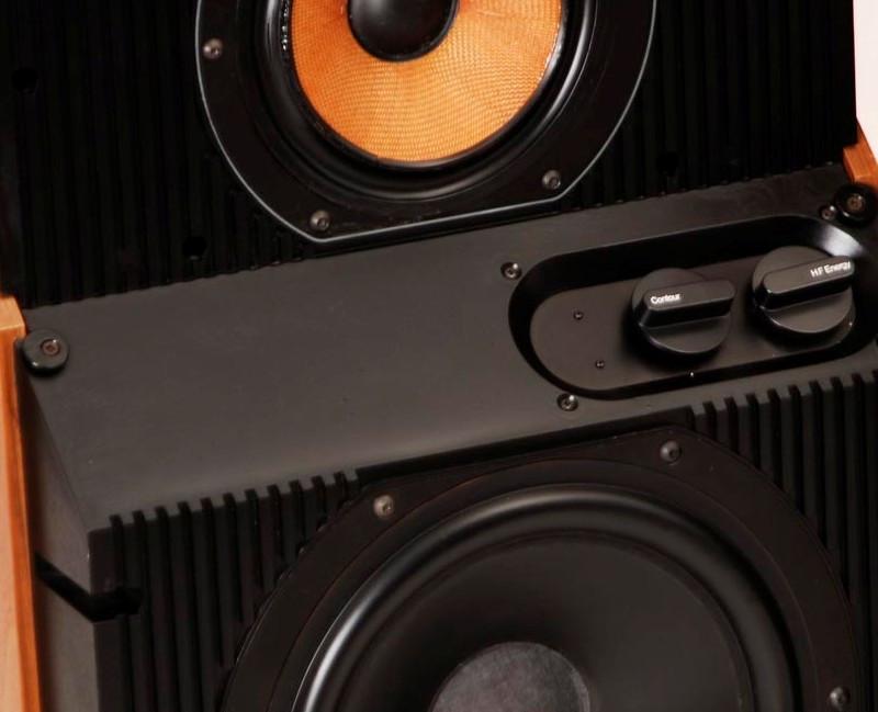 Bowers & Wilkins DM6