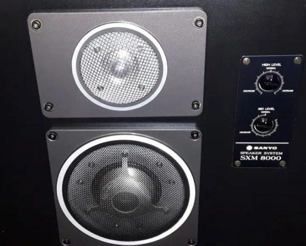 Sanyo SXM-8000